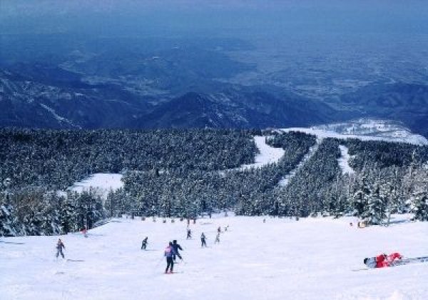 Les premières neiges, tombées avec 20 jours d'avance cette année, sont de bonne augure pour la campagne Support Japan, Ski Japan.